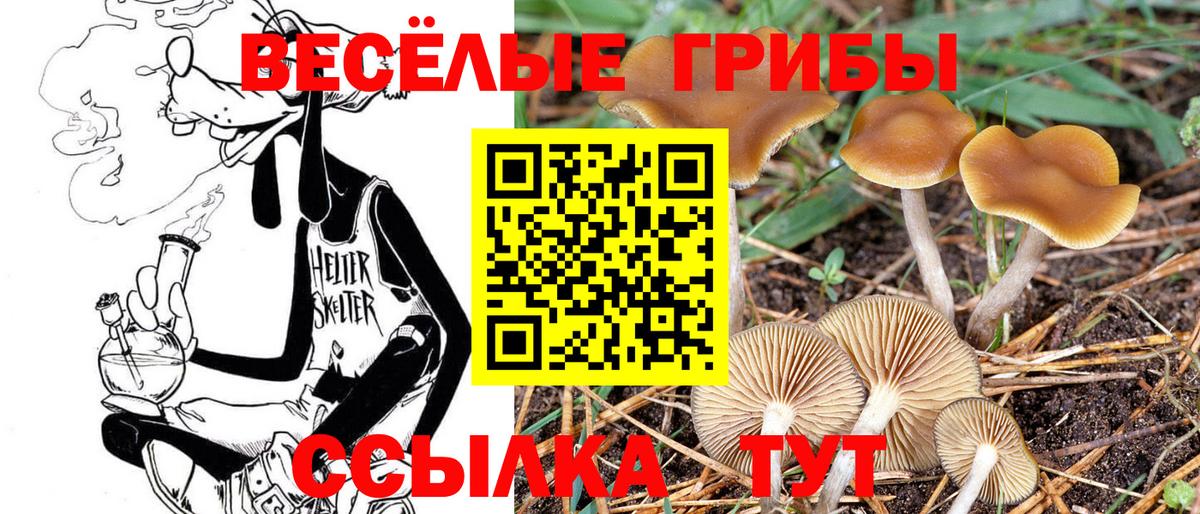 Псилоцибиновые грибы GOLDEN TEACHER Ростов Великий