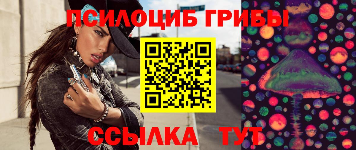 Ростов Великий  Галлюциногенные грибы прущие грибы  Вход с VPN 
